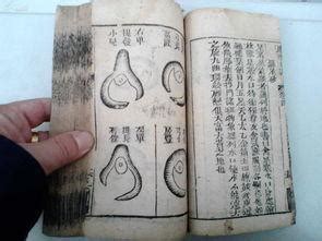 河出圖 洛出書|《問道中醫》：蘊含陰陽與五行之理的「河圖」＆源自。